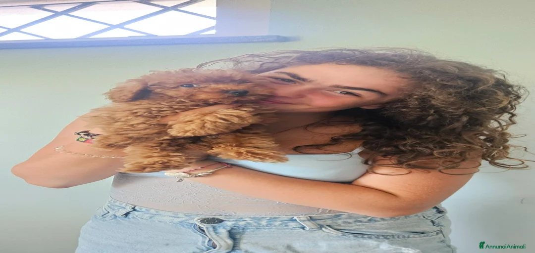 Immagine della galleria {{count}}