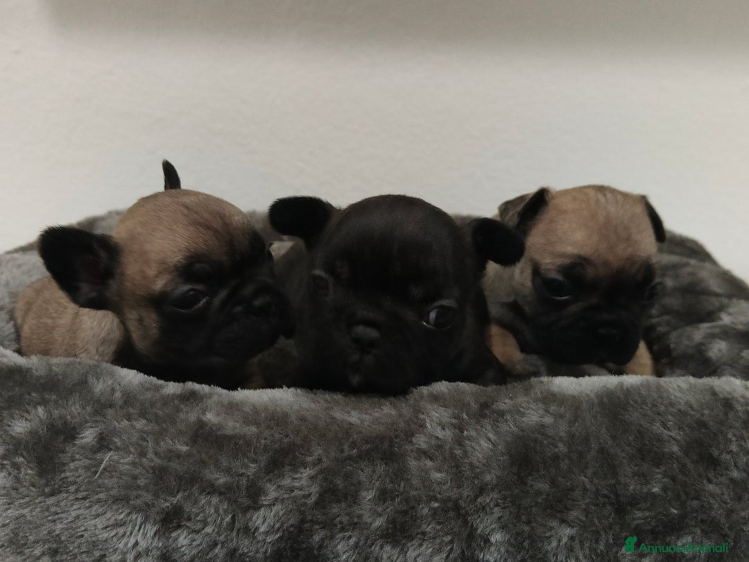 Immagine della galleria {{count}}