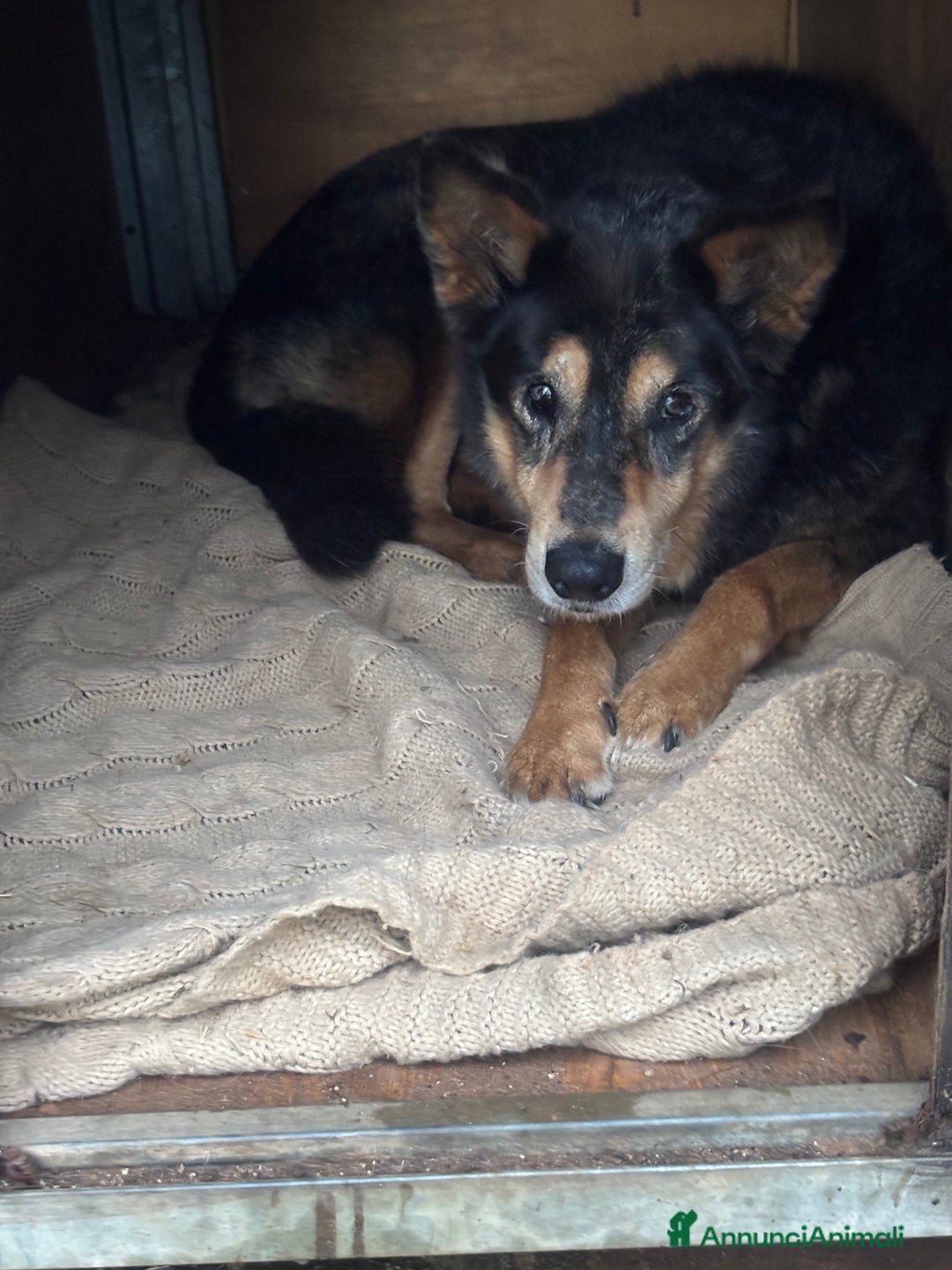 Immagine della galleria {{count}}