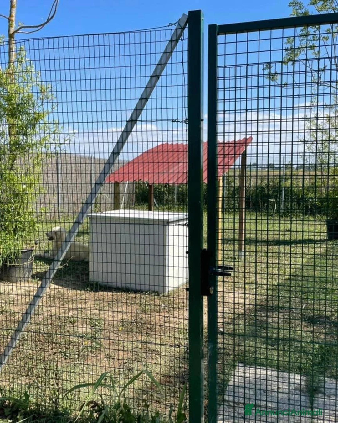 Immagine della galleria {{count}}