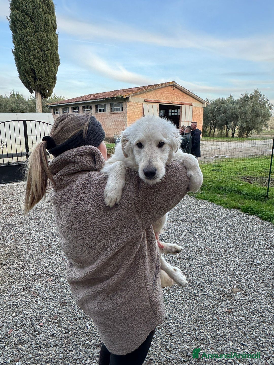 Meticcio cani in regalo: Lilly: 8 mesi, taglia media, socievole  - Annuncio 7