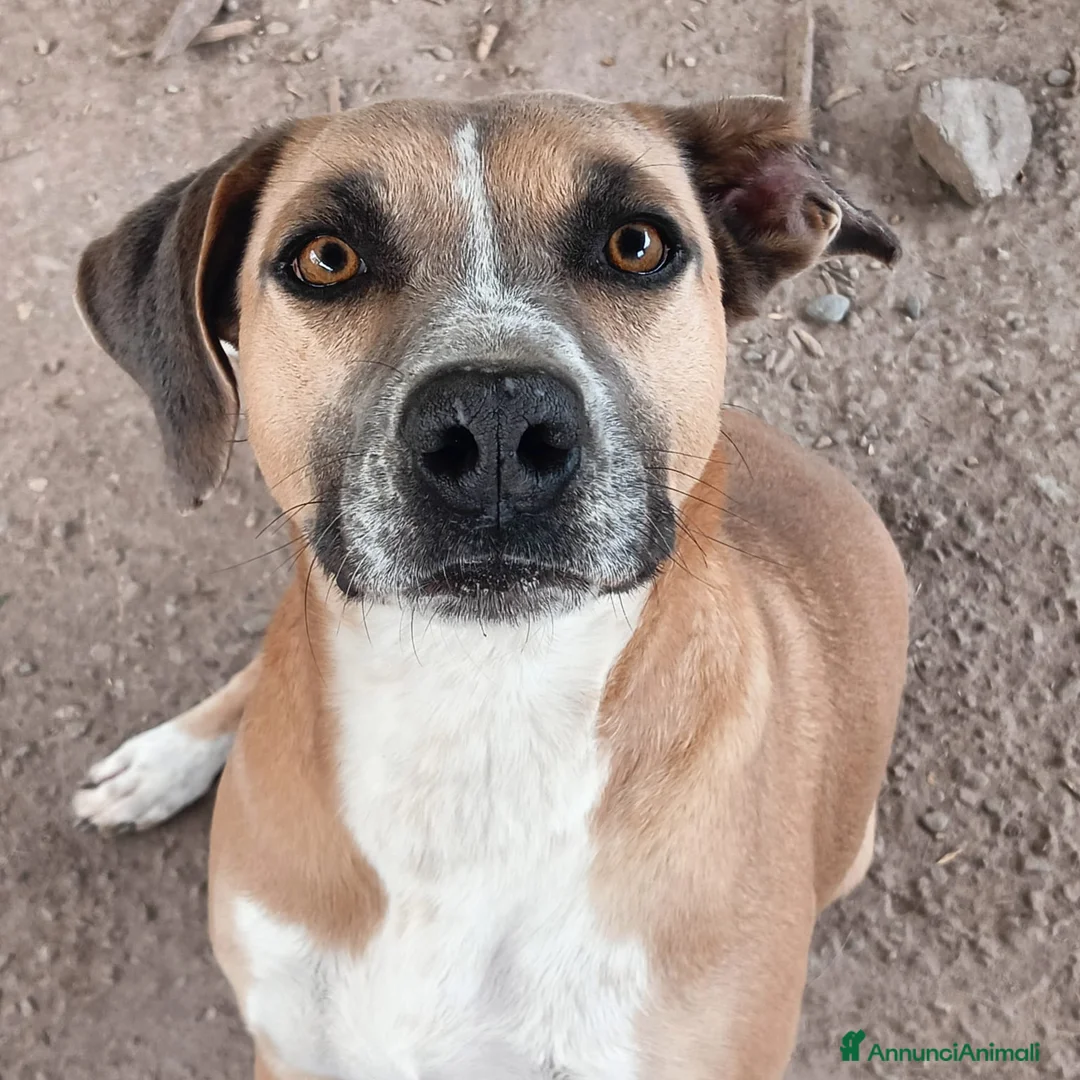 Immagine della galleria {{count}}