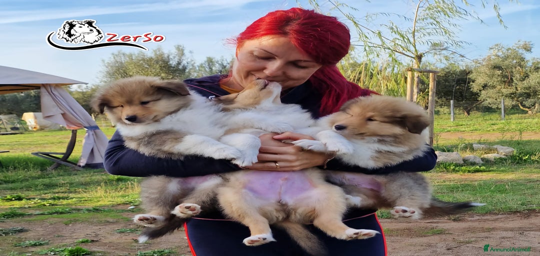 Immagine della galleria {{count}}