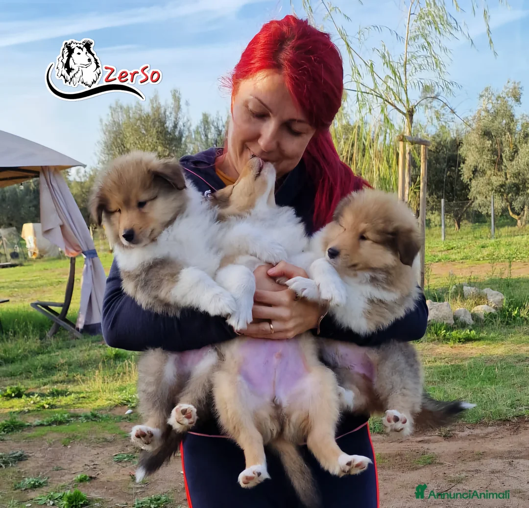 Immagine della galleria {{count}}