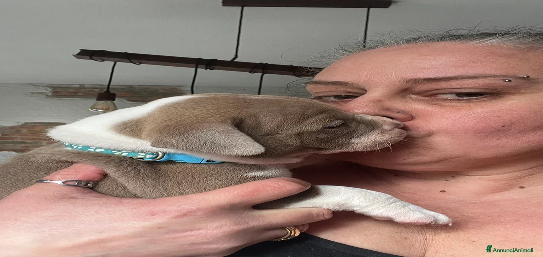 Immagine della galleria {{count}}