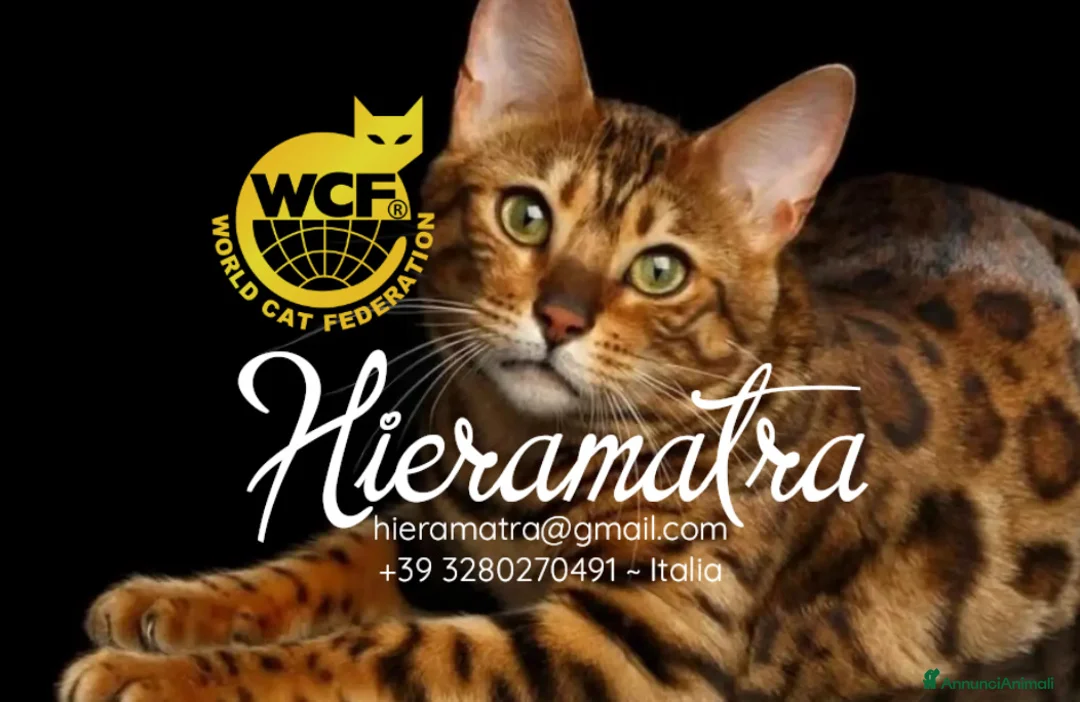 Immagine della galleria {{count}}