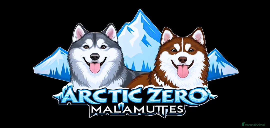 Immagine della galleria {{count}}