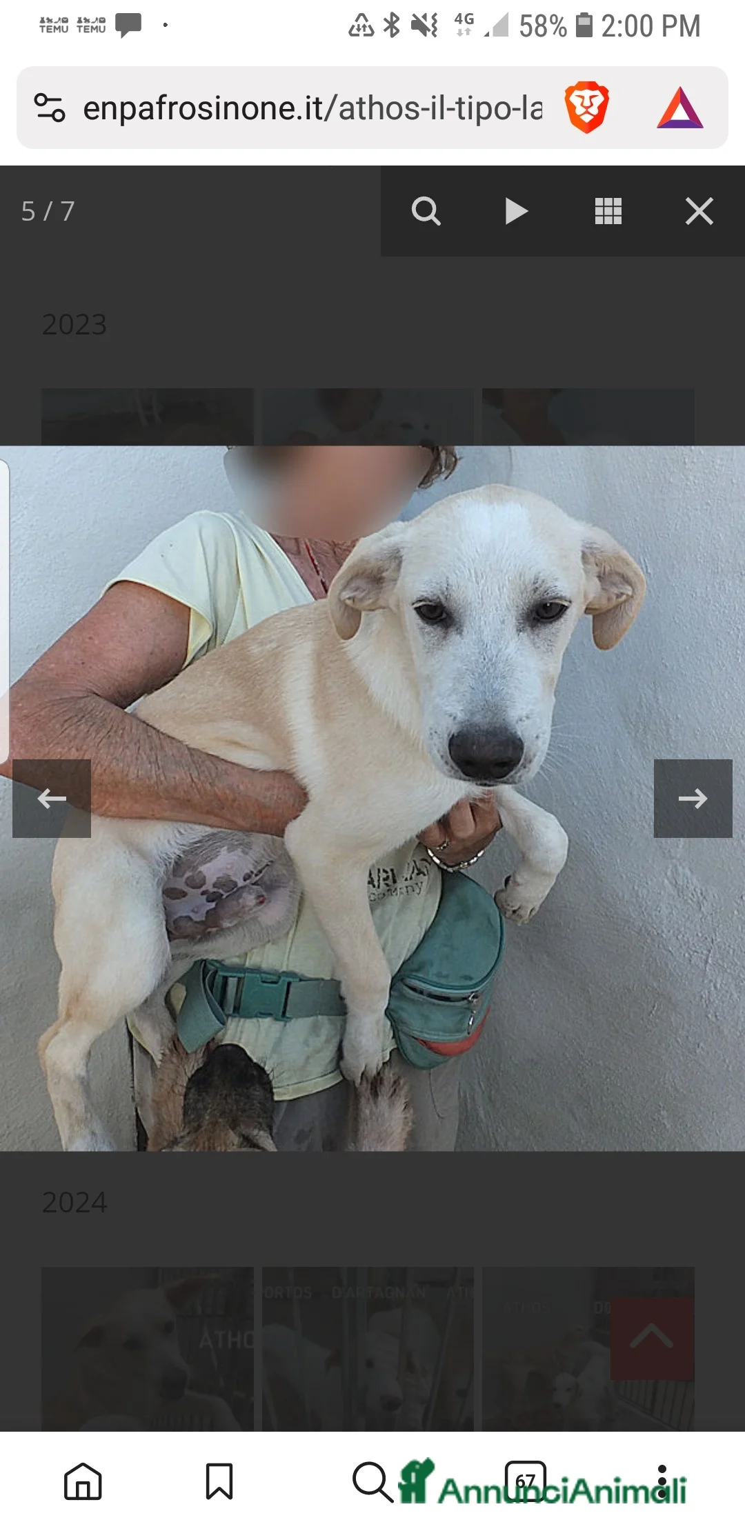 Labrador cani in regalo: ADOZ.DEL CUOR:3 anni in box:Sta dimagrendo! - Annuncio 7