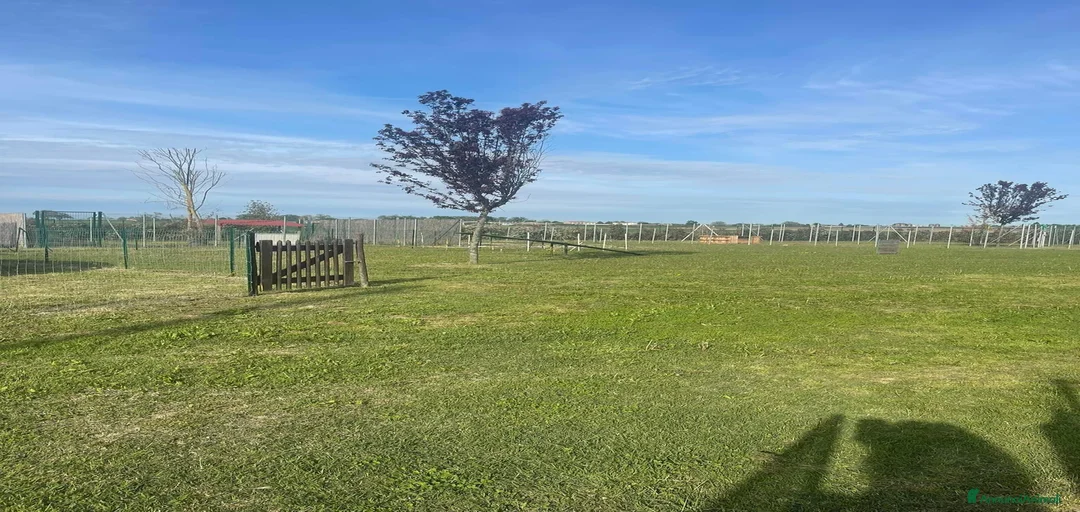 Immagine della galleria {{count}}