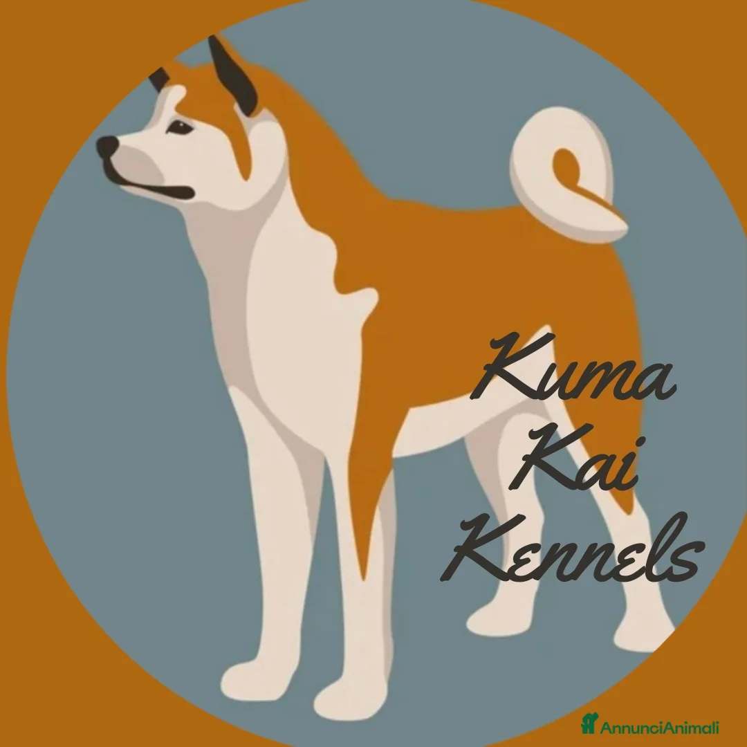 Immagine della galleria {{count}}