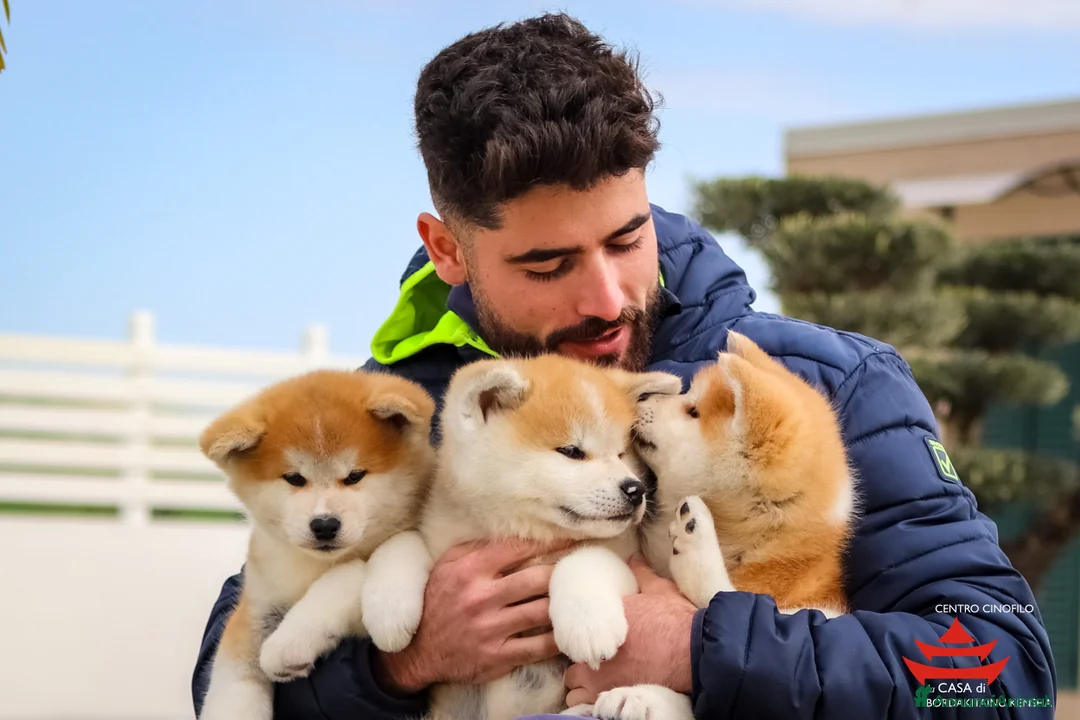 Immagine della galleria {{count}}