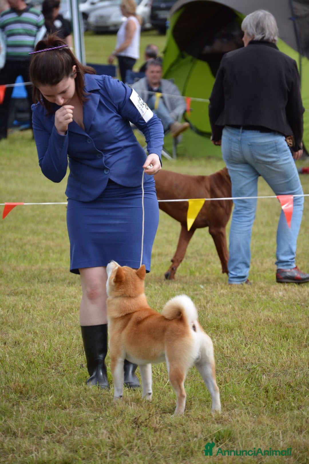 Immagine della galleria {{count}}