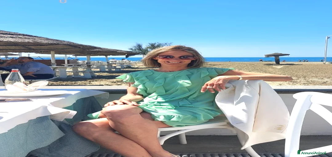 Immagine della galleria {{count}}