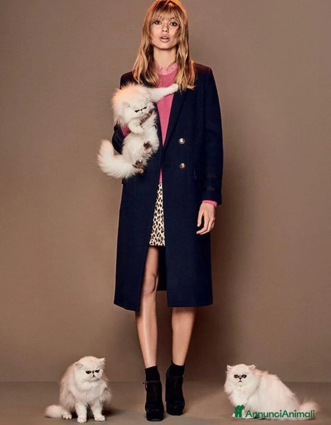 Immagine della galleria {{count}}