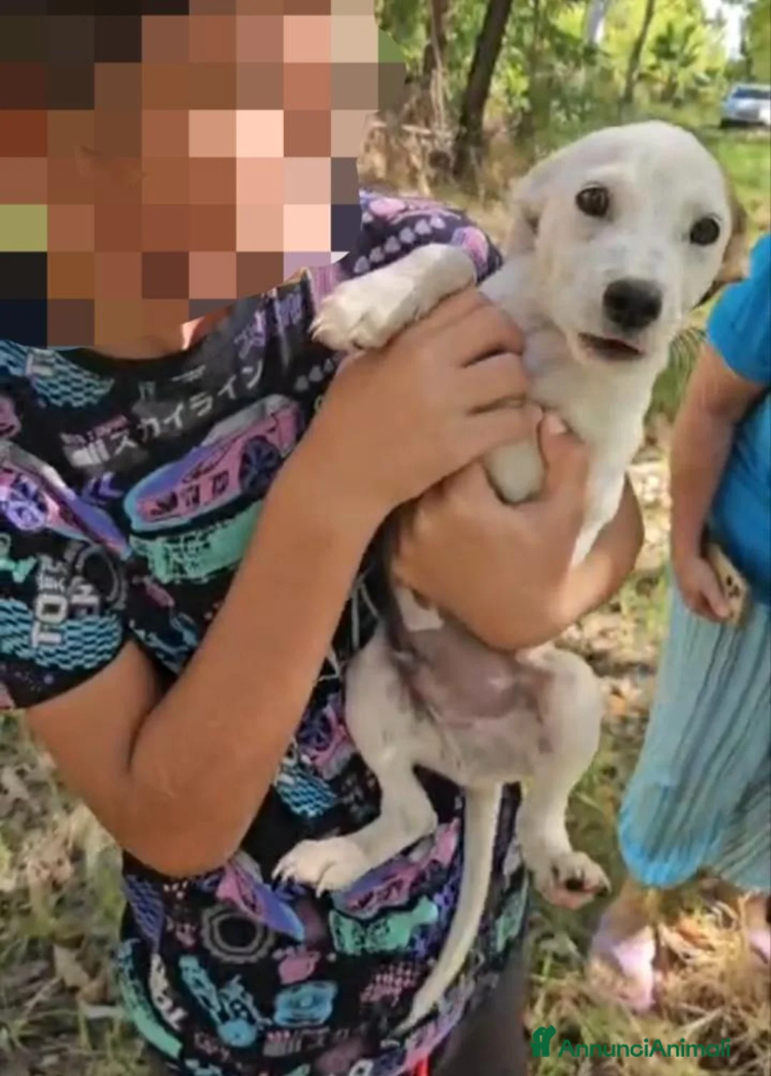 Meticcio cani in regalo: Tiramisù: 3 mesi taglia contenuta  - Annuncio 2