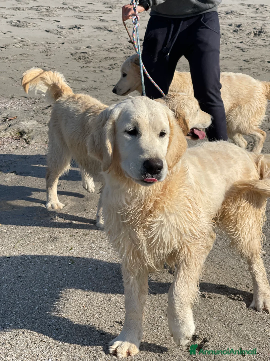 Immagine della galleria {{count}}