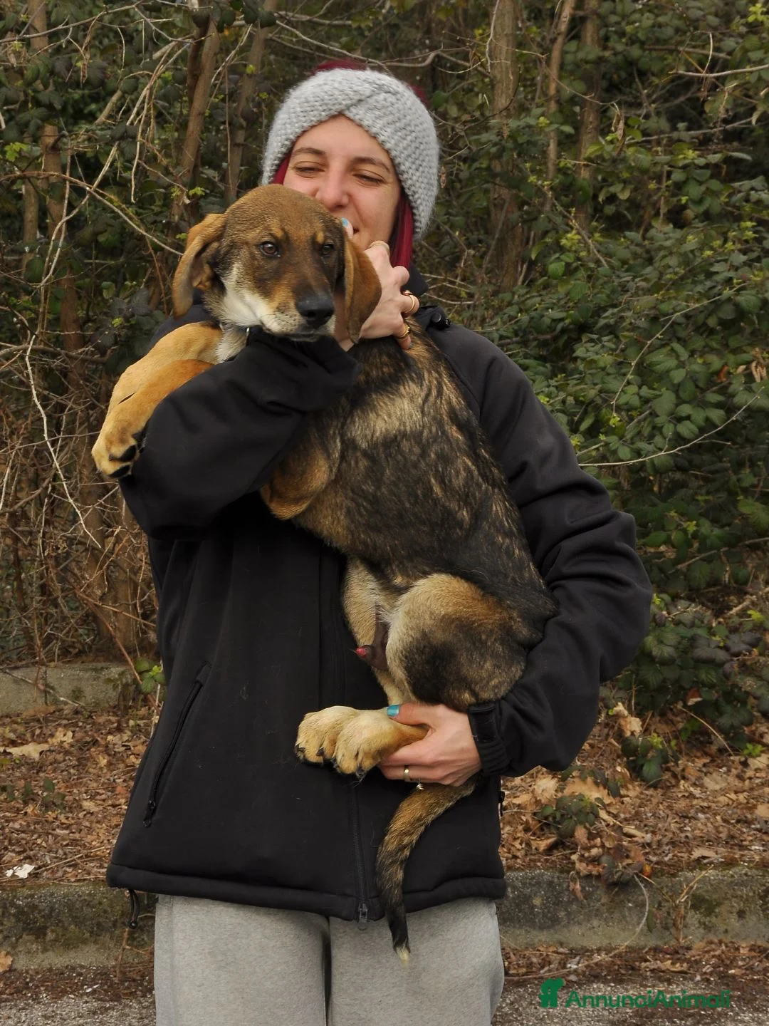 Meticcio cani in regalo: conan - Annuncio 2