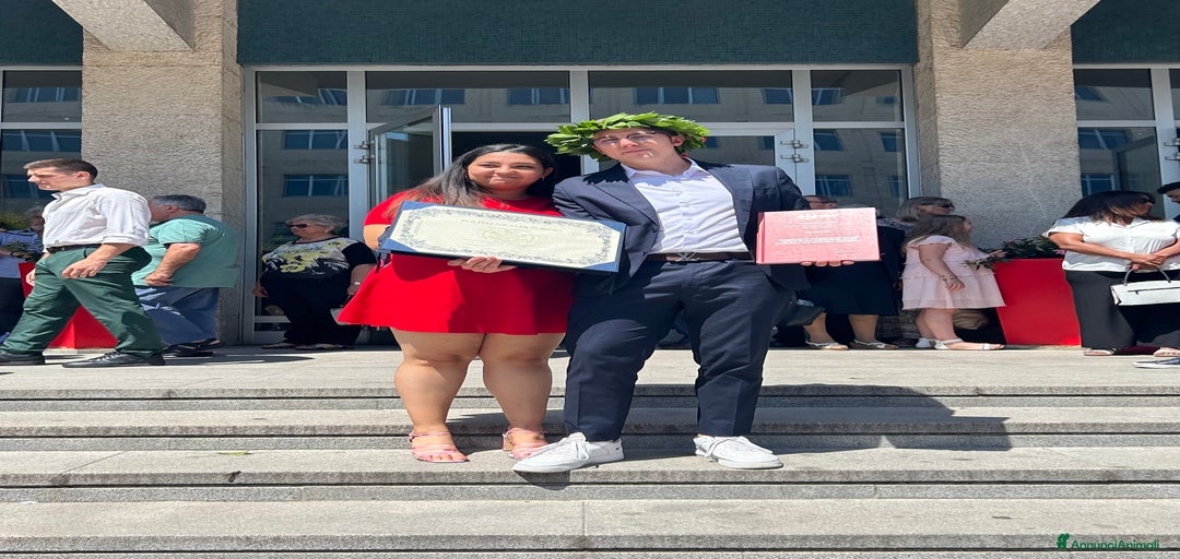 Immagine della galleria {{count}}