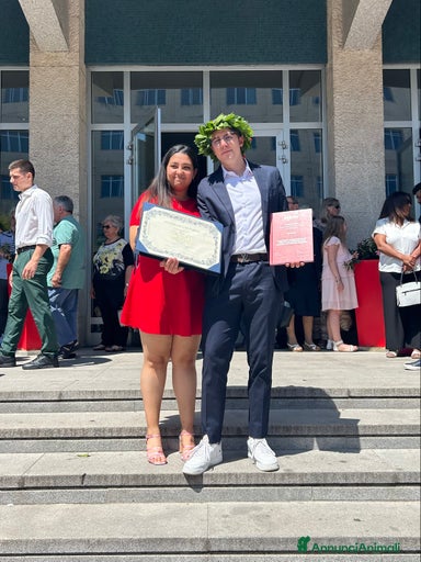 Immagine della galleria {{count}}