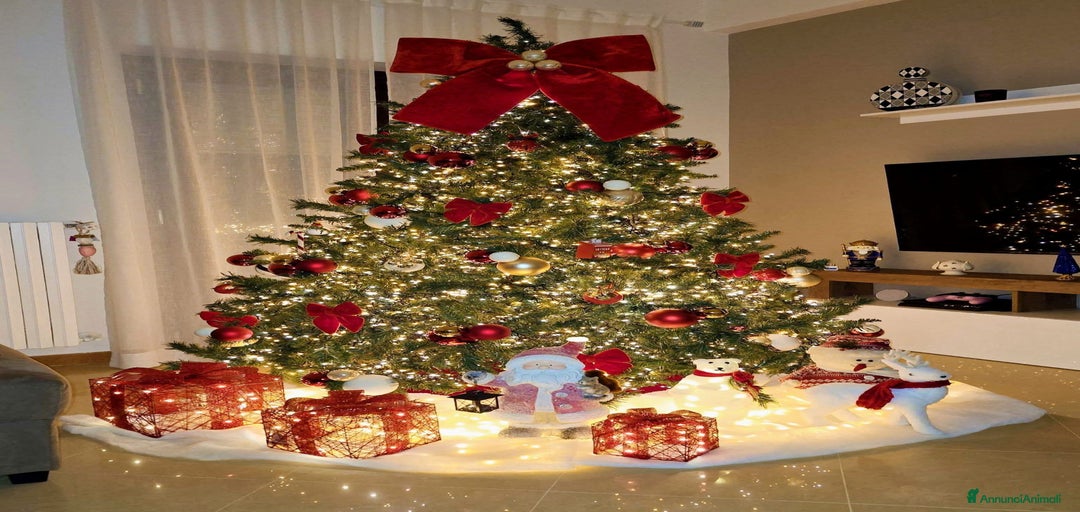 Immagine della galleria {{count}}