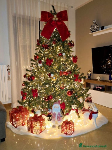 Immagine della galleria {{count}}