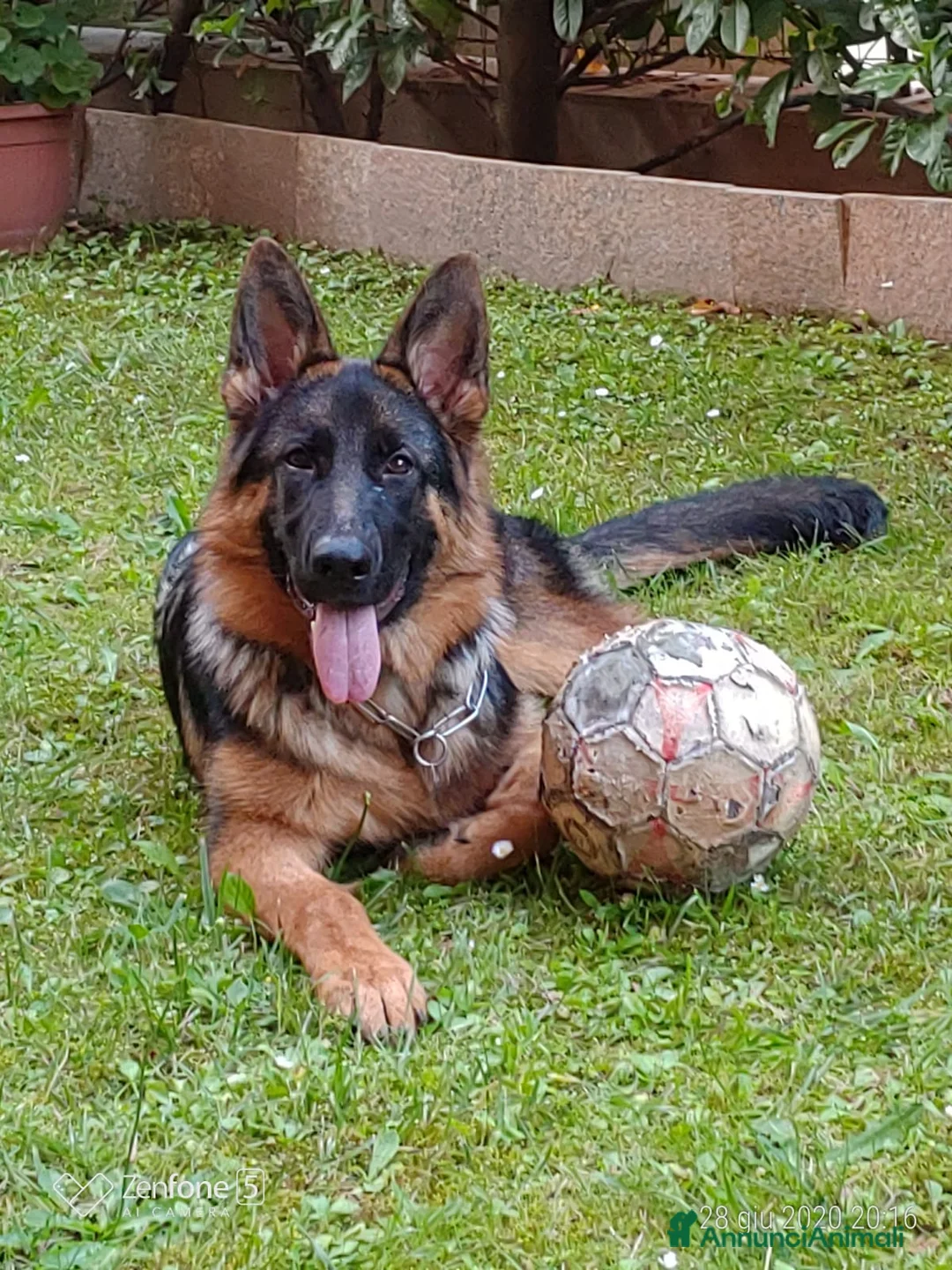 Immagine della galleria {{count}}