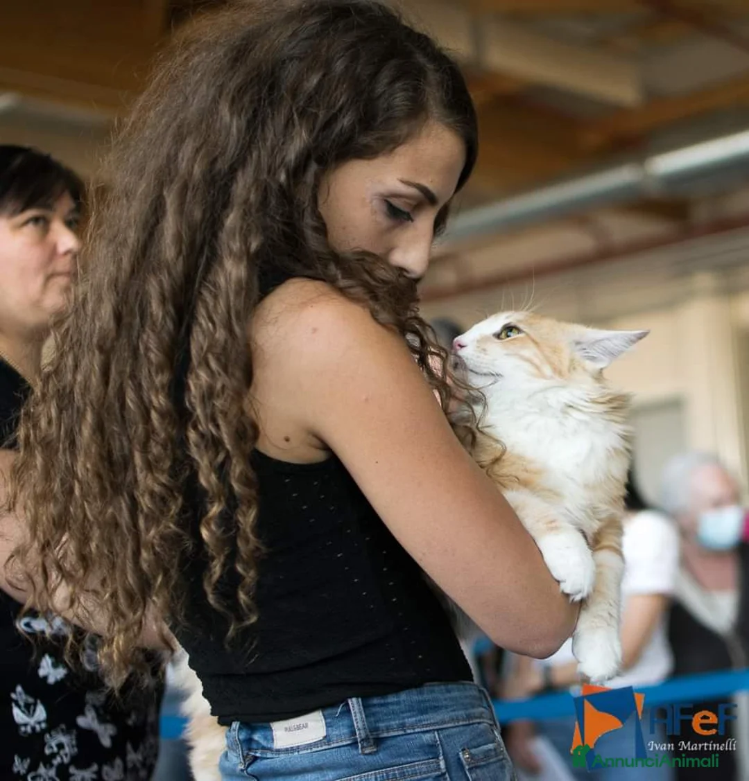 Immagine della galleria {{count}}