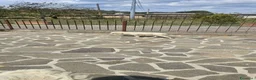 Meticcio cani in regalo: Regalo cucciolo a Città Metropolitana di Firenze - Annuncio 2