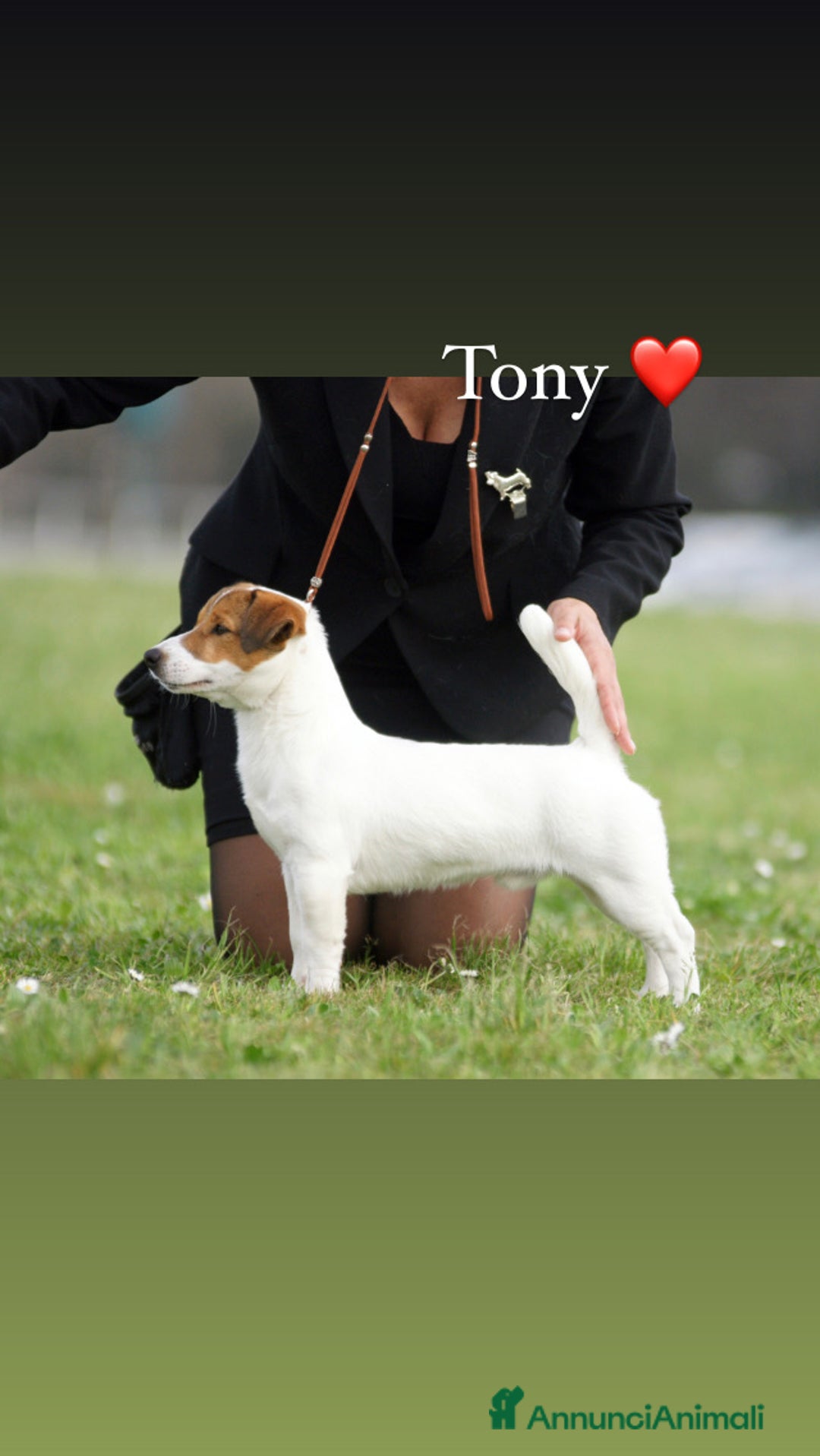 Immagine della galleria {{count}}