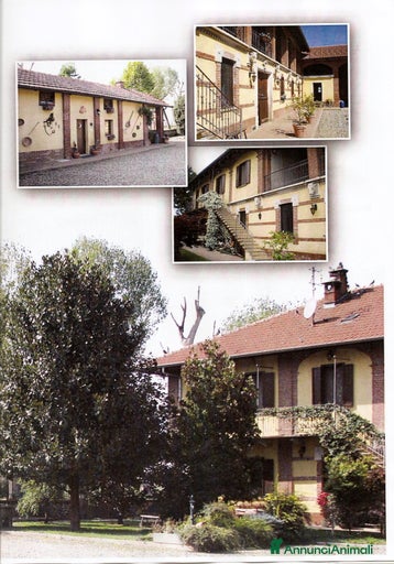 Immagine della galleria {{count}}