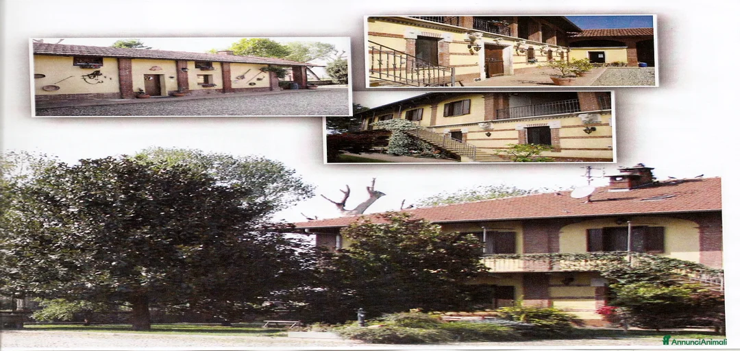 Immagine della galleria {{count}}