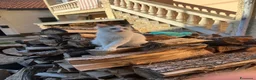 Meticcio gatti in regalo: Cucciolo di gatto - Murazzano a Provincia di Cuneo - Annuncio 1