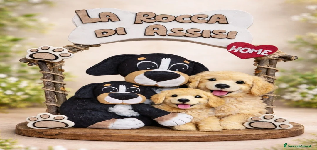 Immagine della galleria {{count}}