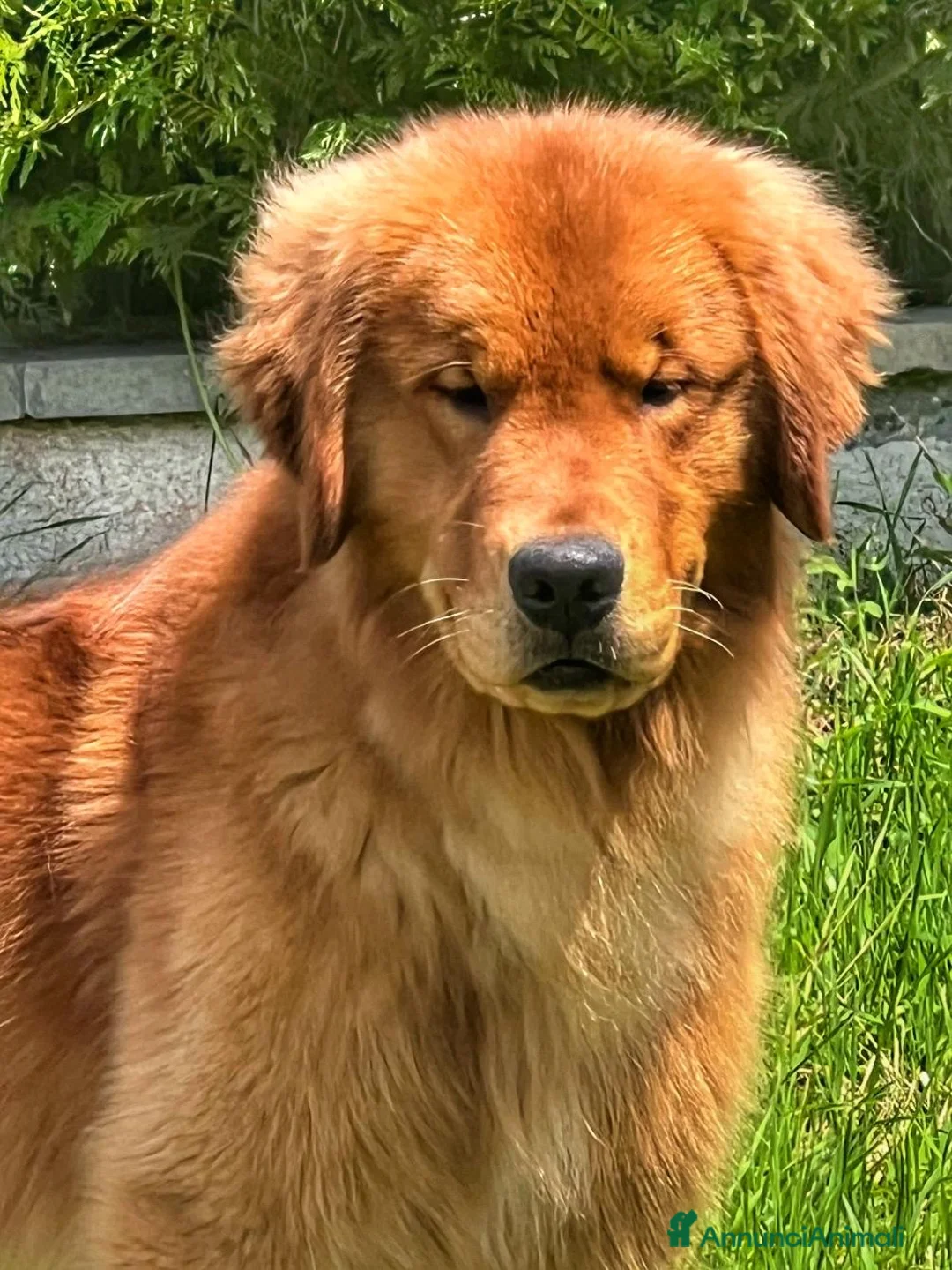 Immagine della galleria {{count}}