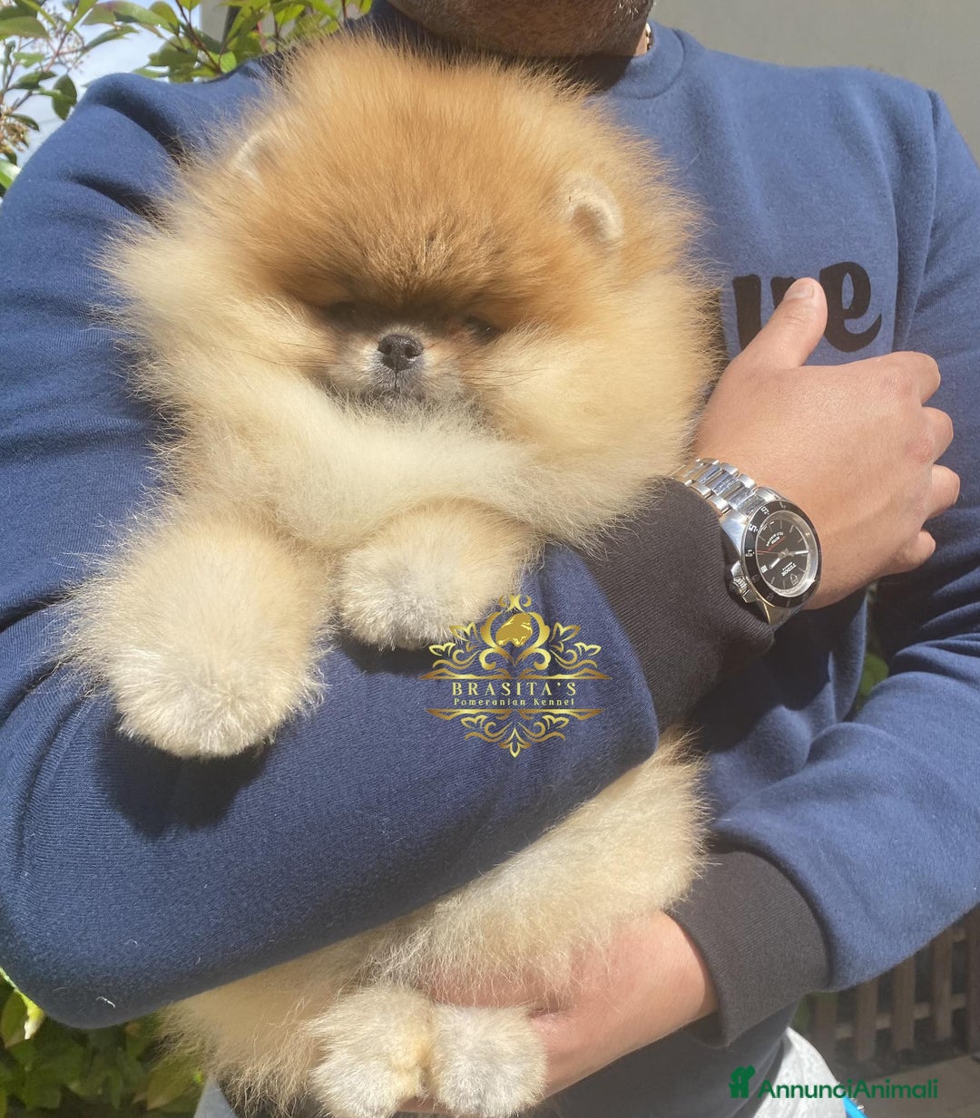 Immagine della galleria {{count}}