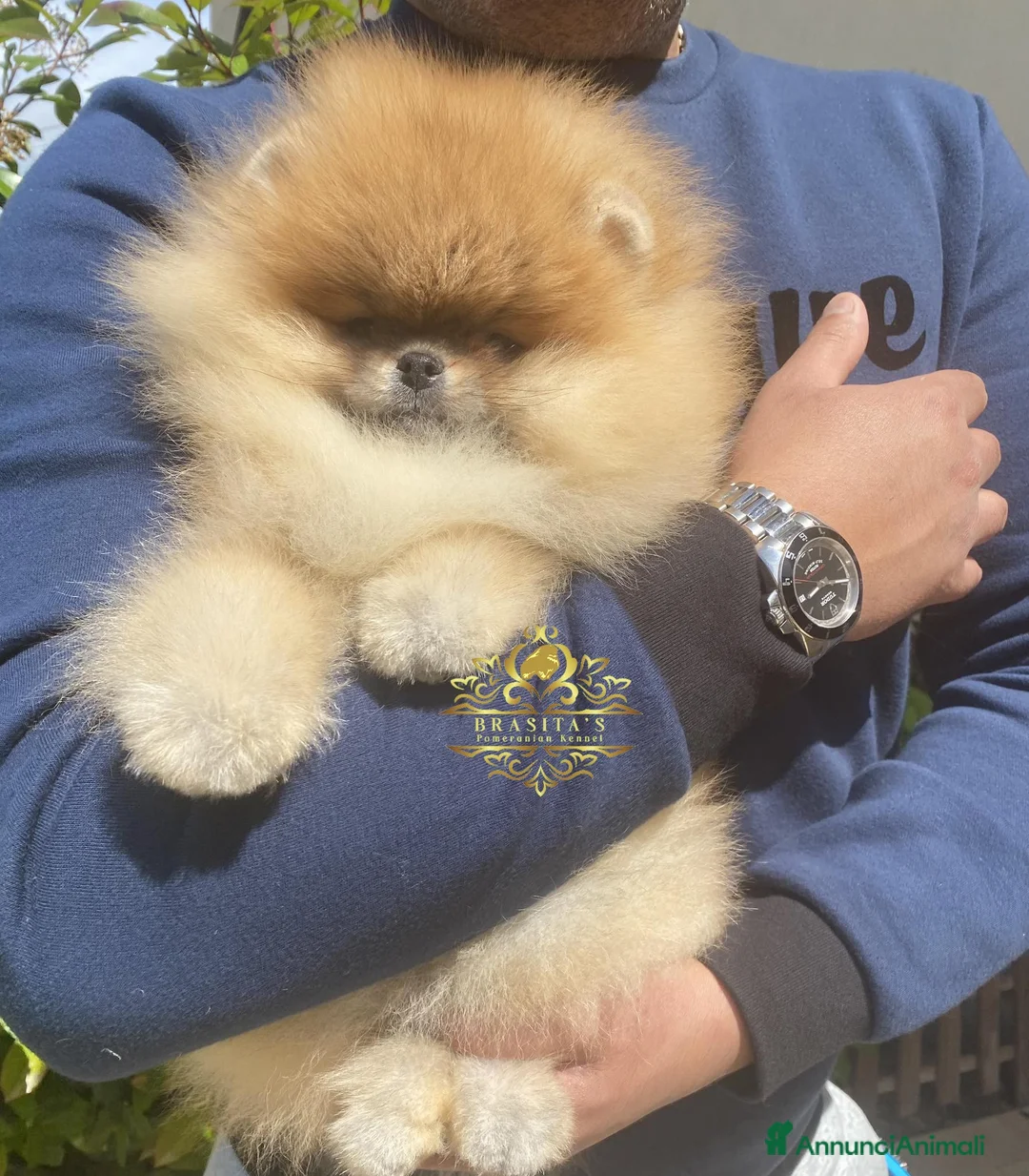 Immagine della galleria {{count}}