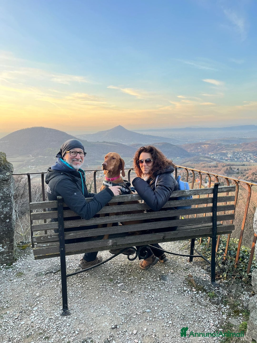 Immagine della galleria {{count}}