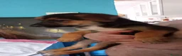 Meticcio cani in regalo: CUCCIOLI - Annuncio 6
