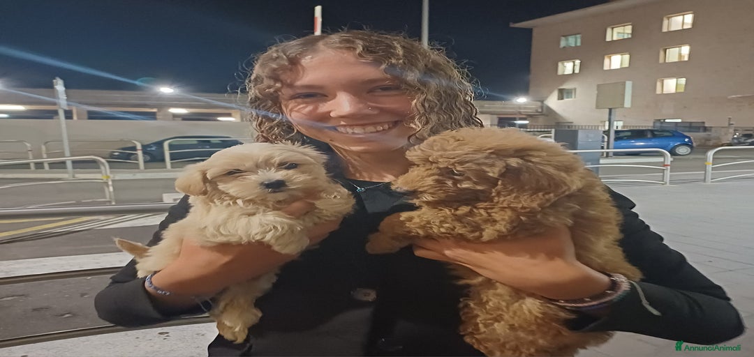 Immagine della galleria {{count}}