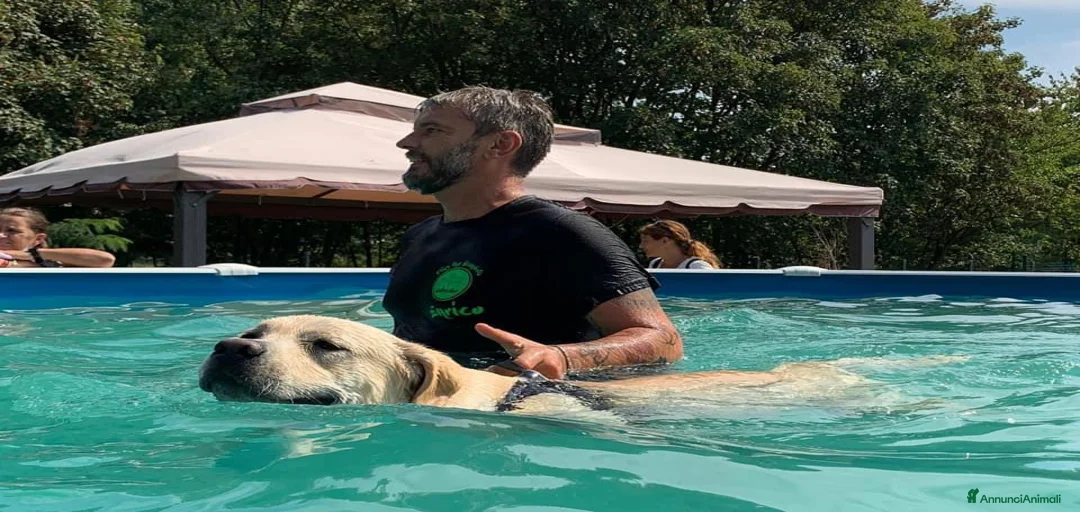 Immagine della galleria {{count}}