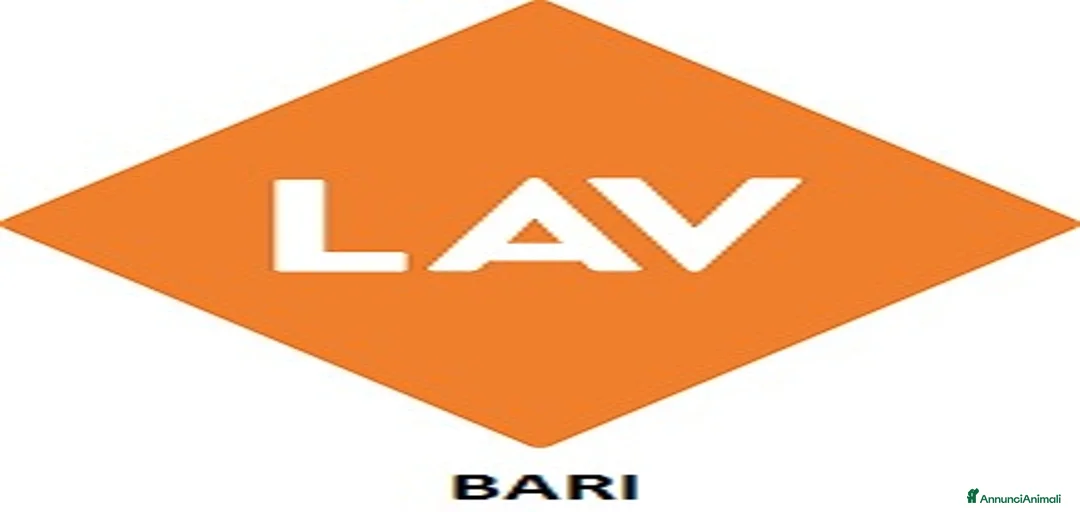 Immagine della galleria {{count}}