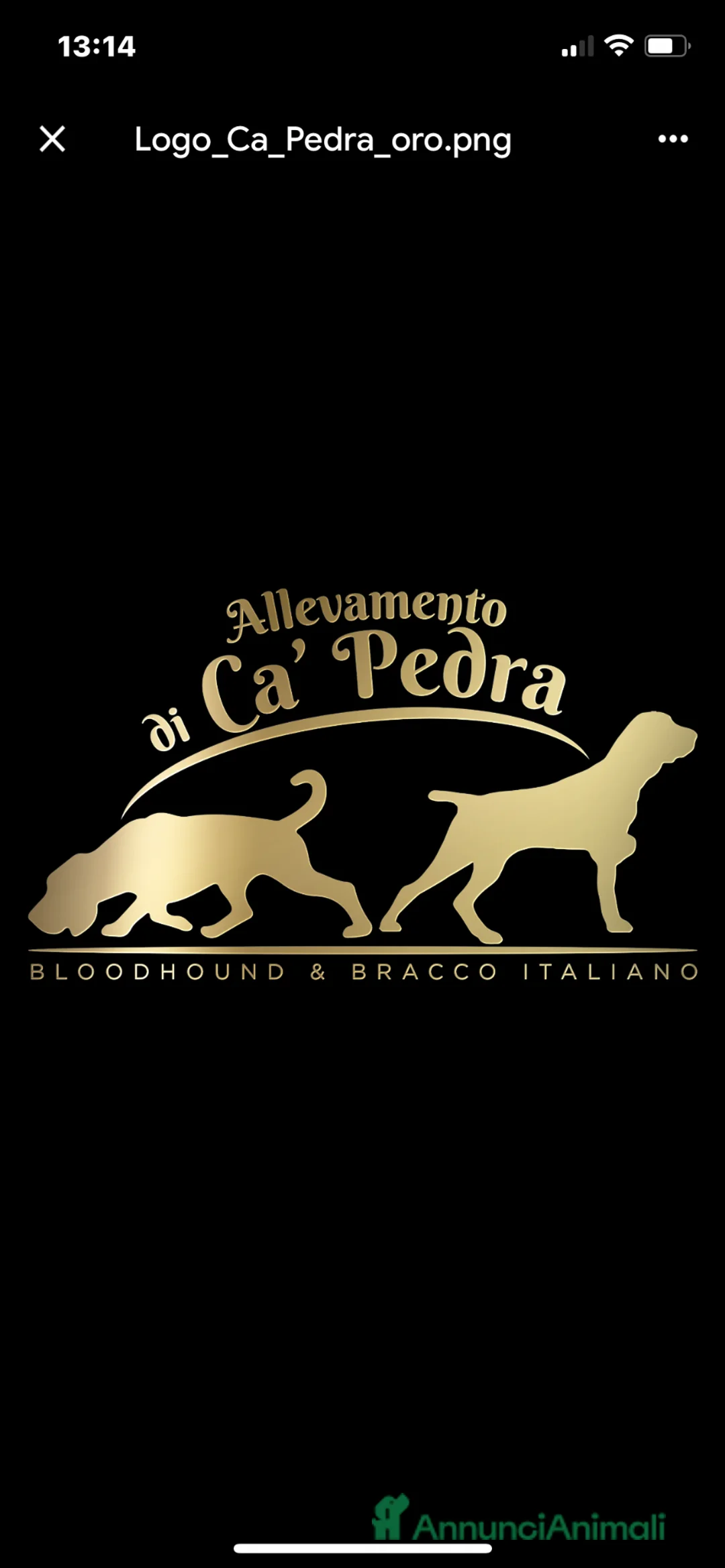 Immagine della galleria {{count}}