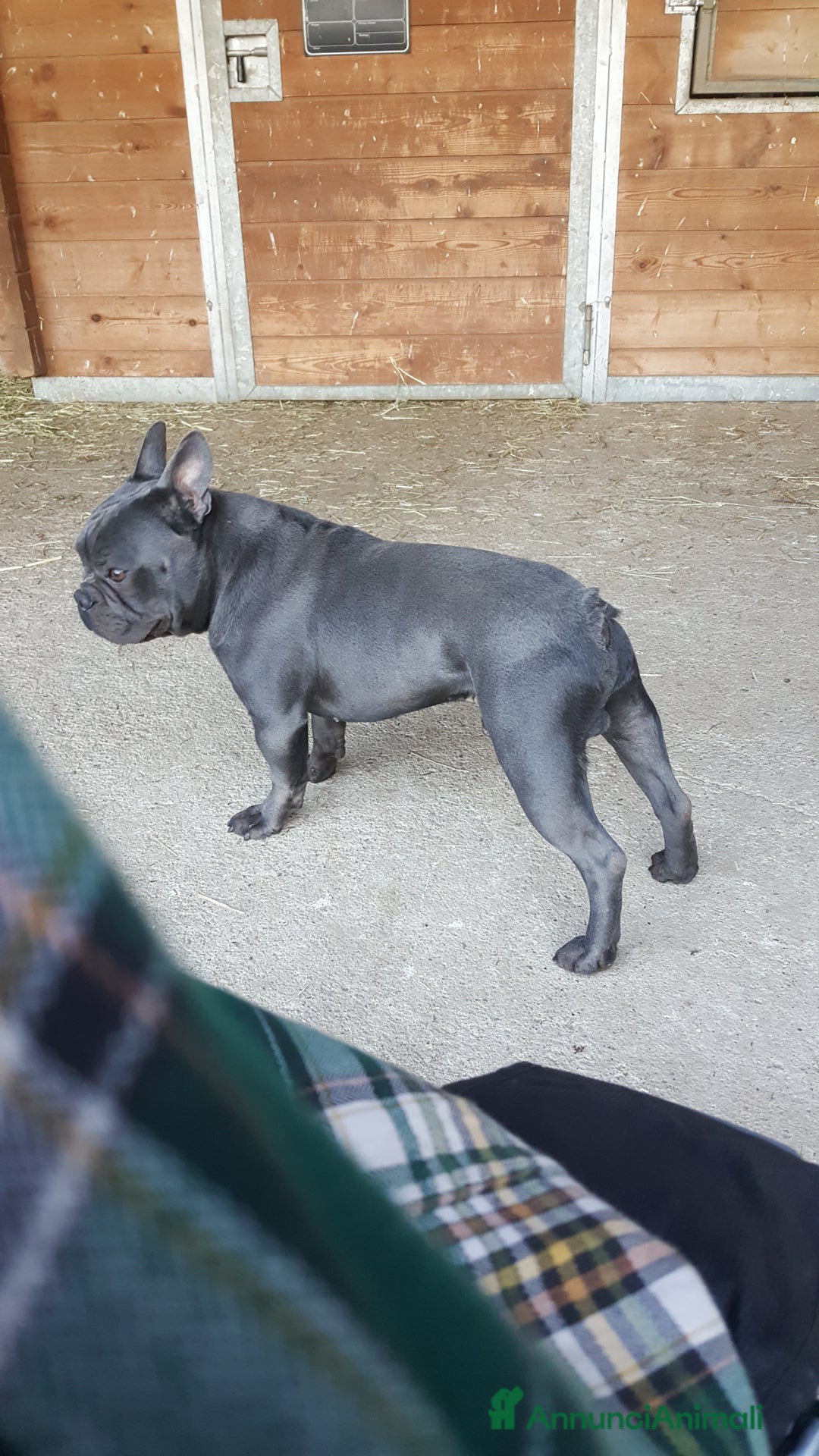 Immagine della galleria {{count}}