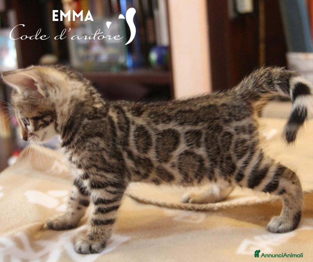 Immagine della galleria {{count}}