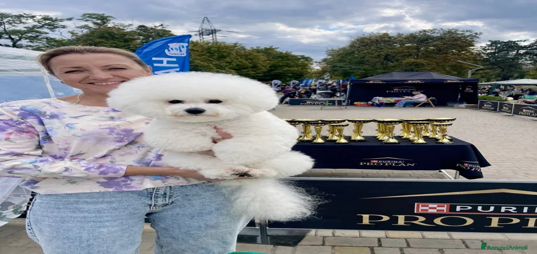 Immagine della galleria {{count}}