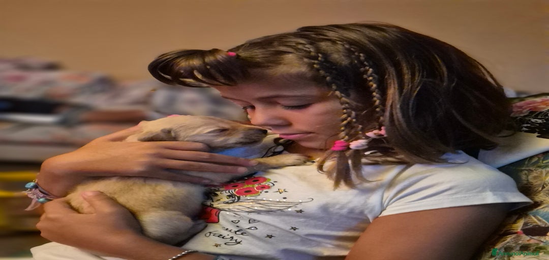 Immagine della galleria {{count}}