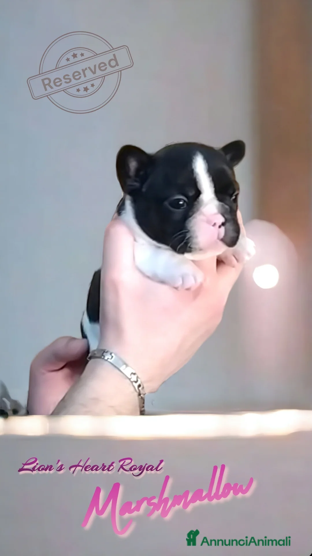 Immagine della galleria {{count}}