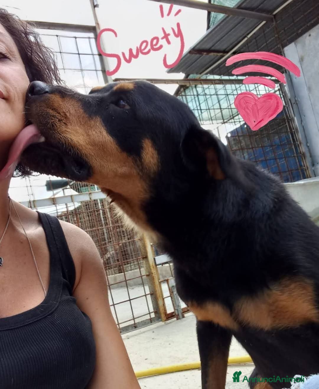 Rottweiler cani SOFIA, prigioniera in un box - Annuncio 2