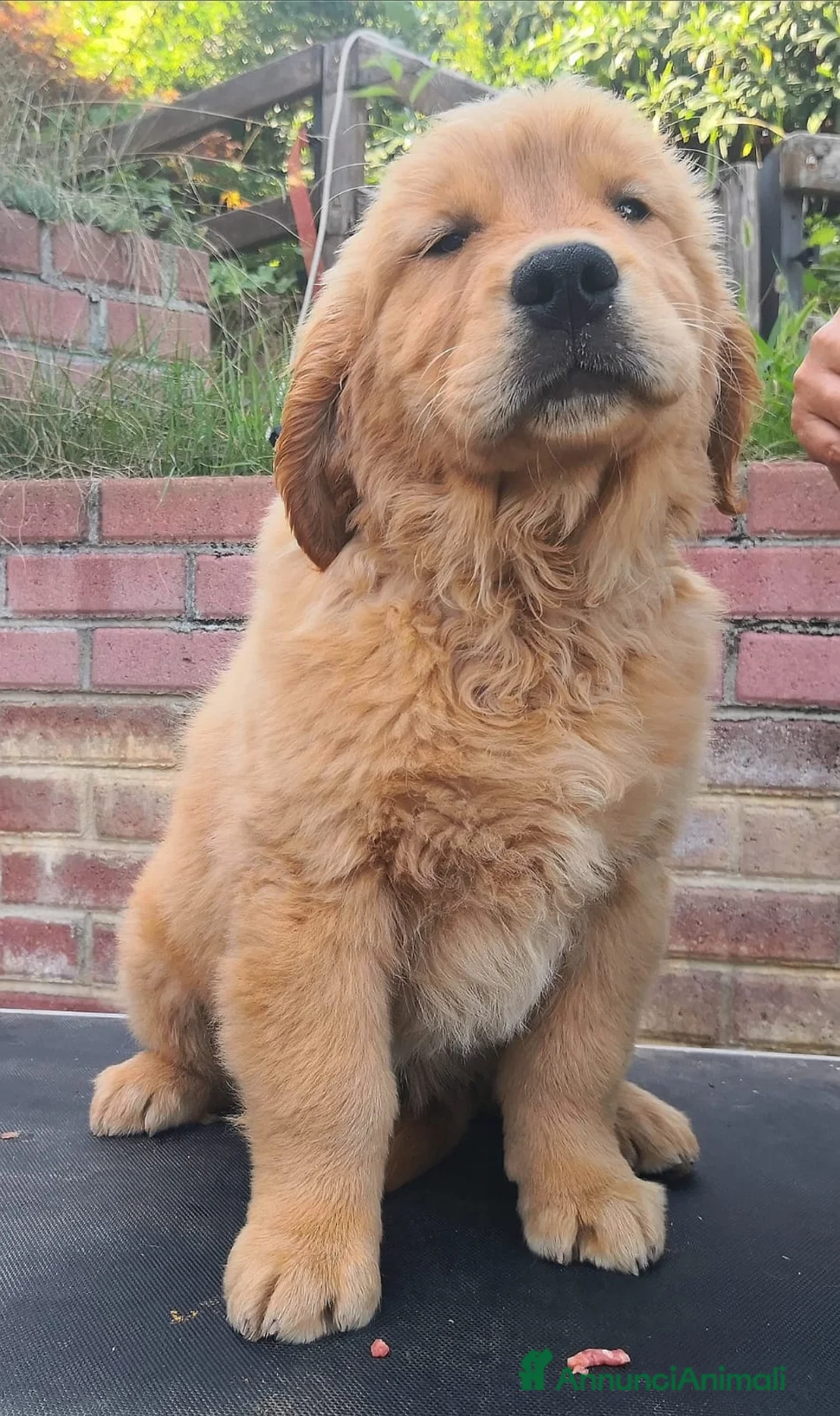 Immagine della galleria {{count}}