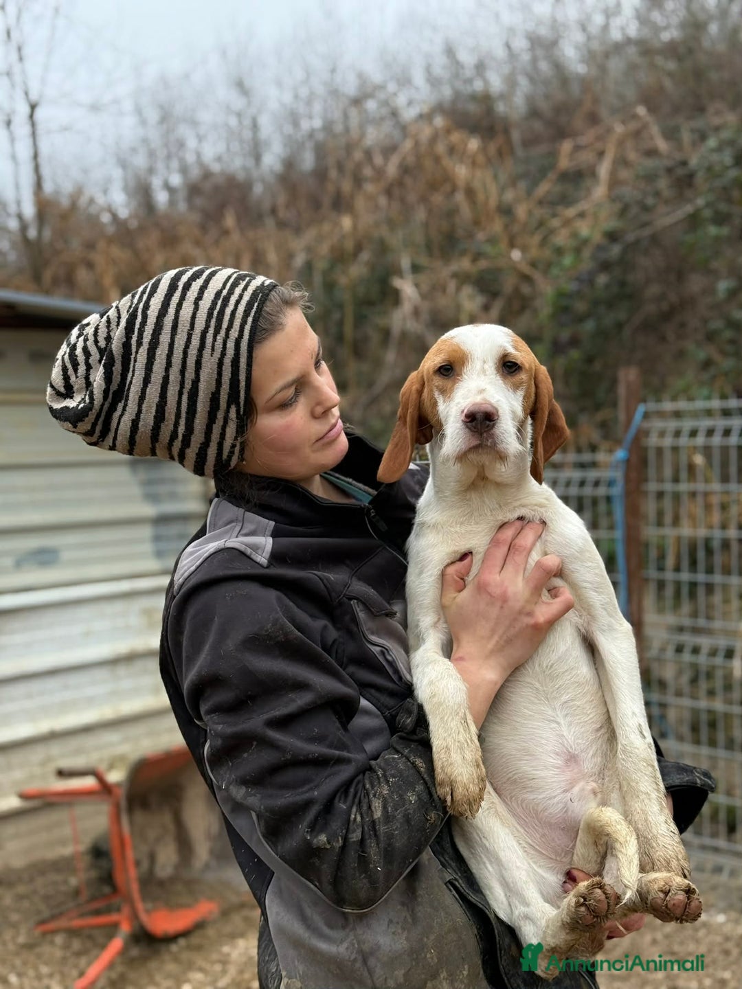 Meticcio cani in regalo: LEON, dolcissimo cucciolone baffuto! Cerca casa - Annuncio 7